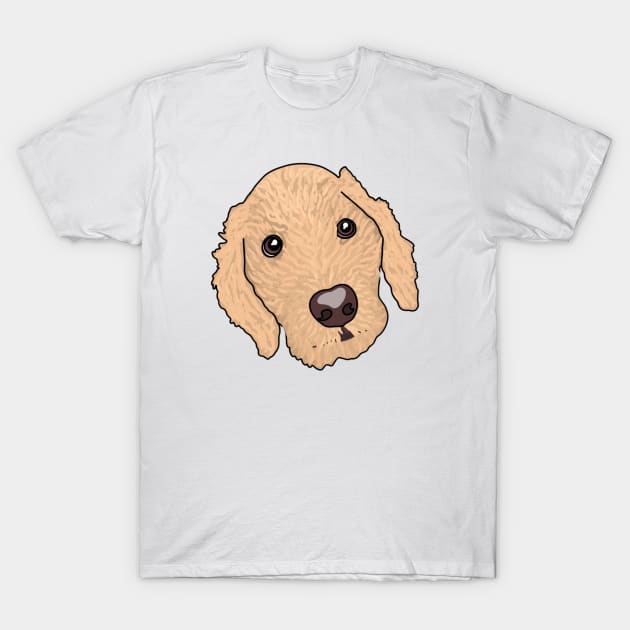 Lakeland Terrier T-Shirt by crankycranium